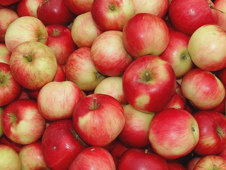 Honeycrisp Apples, 5lb