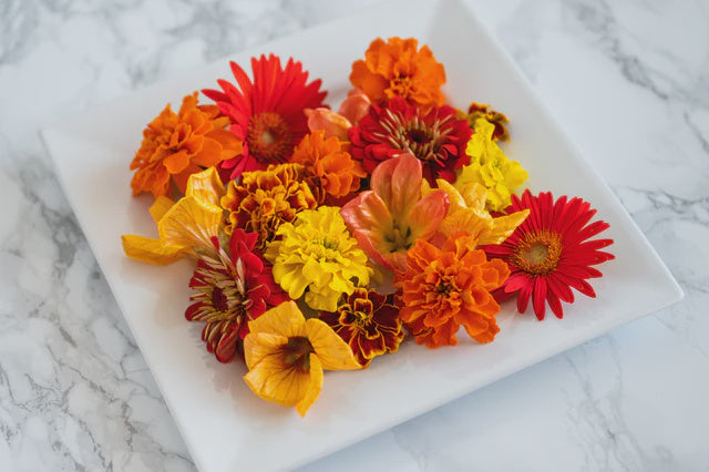 Premium Fall Flowers, 3 oz