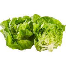 Butter Lettuce Head, 3 ct