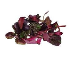 Micro Merlot Mix, 2 oz