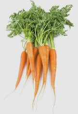 Green Top Carrots, 24 ct bundle