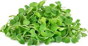 Micro Arugula, 2 oz