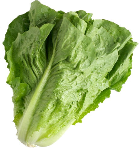 Naked Romaine Heart Lettuce, 1 ct