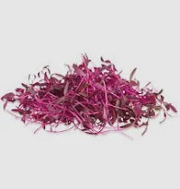 Micro Amaranth Red, 2 oz