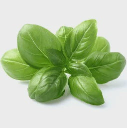 Fresh Basil, 0.5 lb