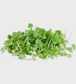 Micro Basil Italian, 2 oz