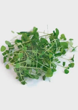 Micro Cress Water, 2 oz