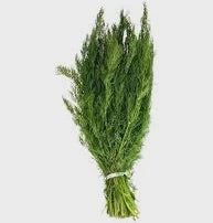 Fresh Dill, 0.5 lb