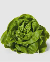 Butter Lettuce Head, 1 ct