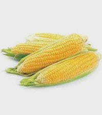 Sweet Corn, Bi-Color, 6 ct