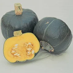 Buttercup Squash, ea