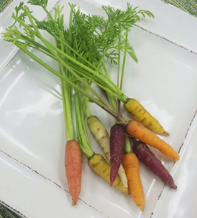 Tiny Veggies - Carrot Mix, 50 ct