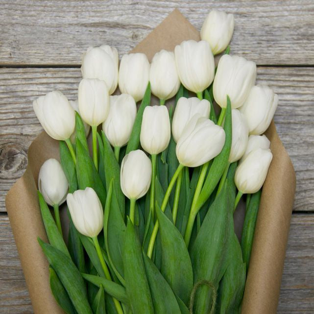 Fresh Tulips - 20 Stem