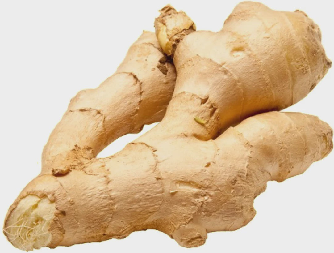 Fresh Ginger Root, ea