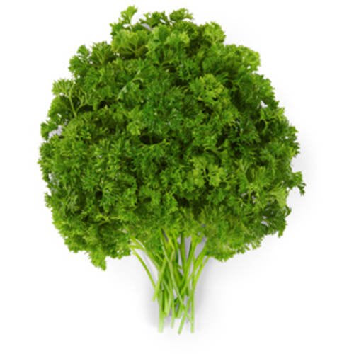 Curly Parsley, bunch