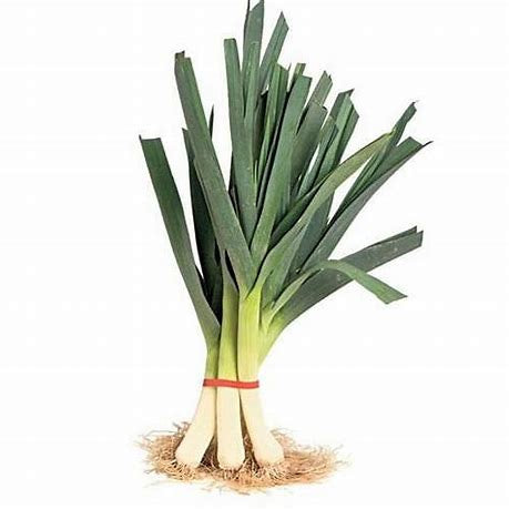 Leeks Bunch, Each