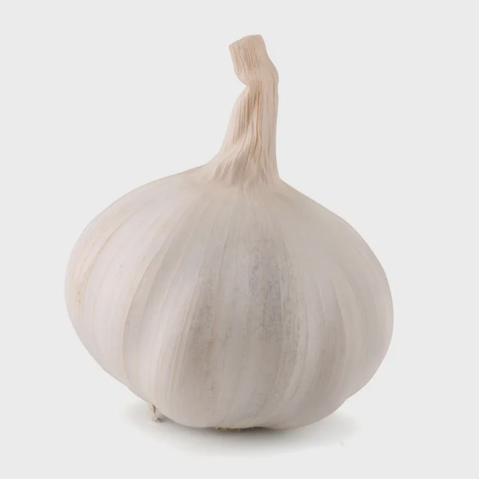 Garlic Bulb, per ea