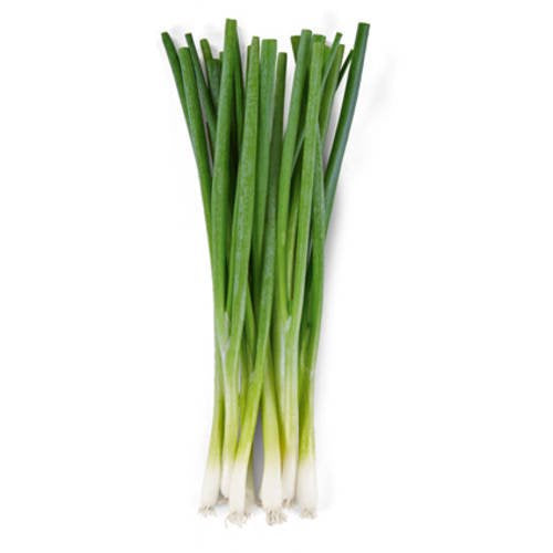 Green Onions Iceless, bunch