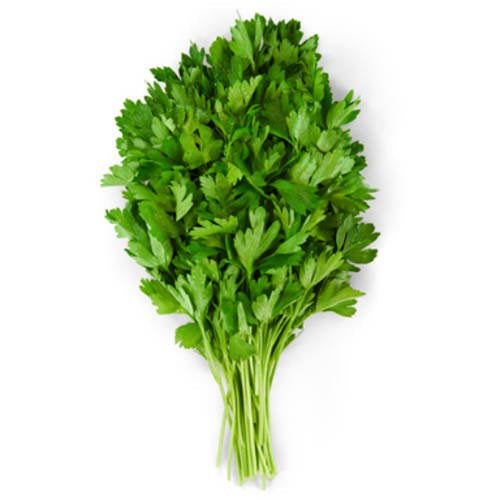 Italian Parsley, bunch