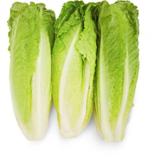 Romaine Heart Lettuce, 3ct