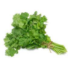 Cilantro, bunch