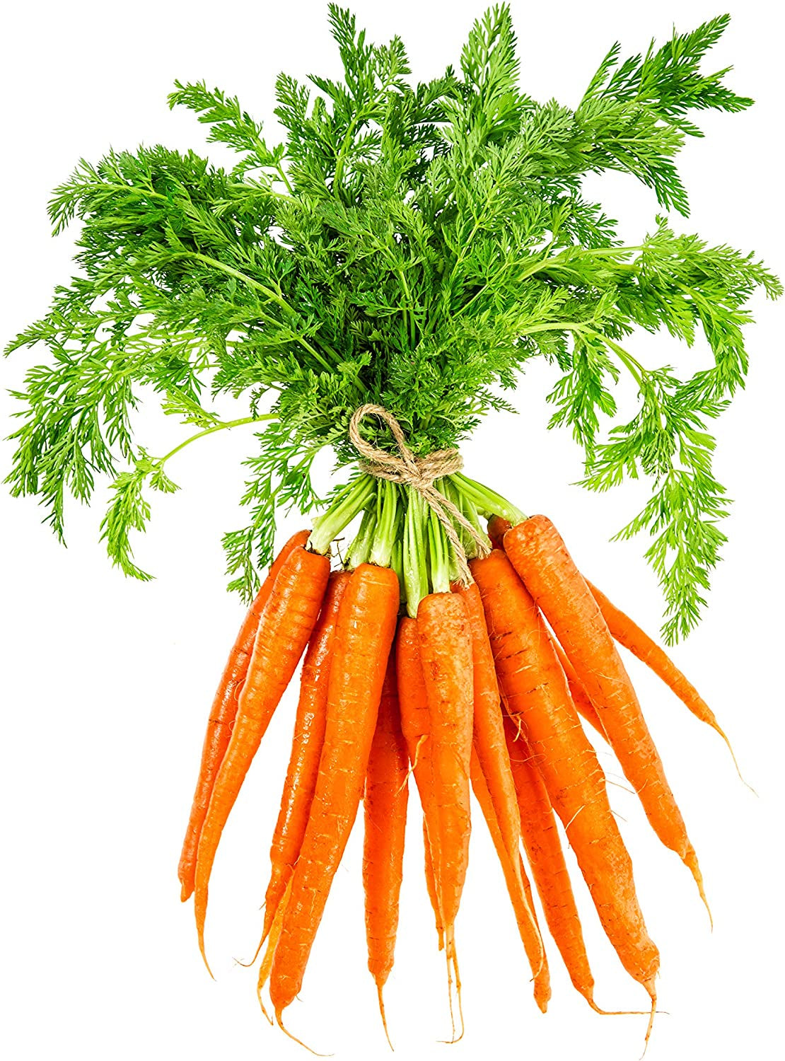 Green Top Carrots, 12 ct bundle