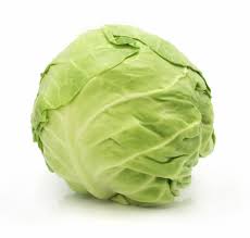 Green Cabbage Head, ea