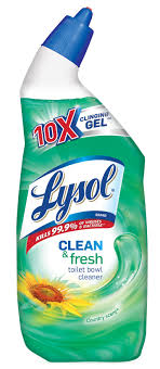 Lysol Clean & Fresh Toilet Bowl Cleaner, Forest Rain Scent, 24 oz